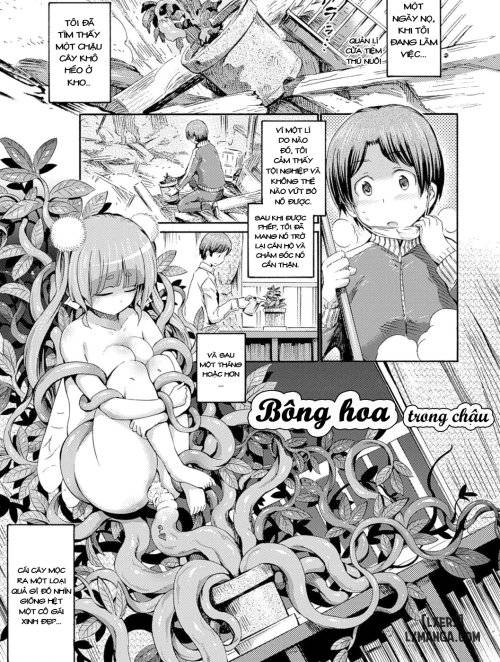 Hachi No Ue No Flower