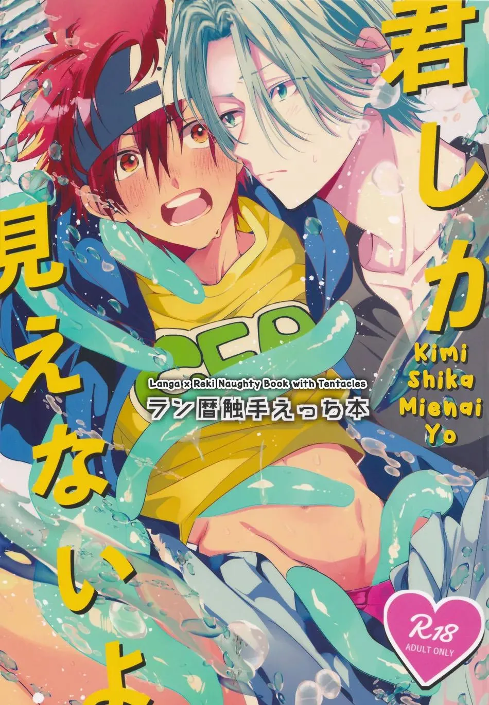 Kimi Shika Mienai Yo