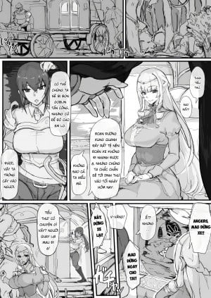 Tiểu Thư Và Con Khỉ May Mắn.