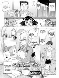 Trồng Cây Đúng Cách